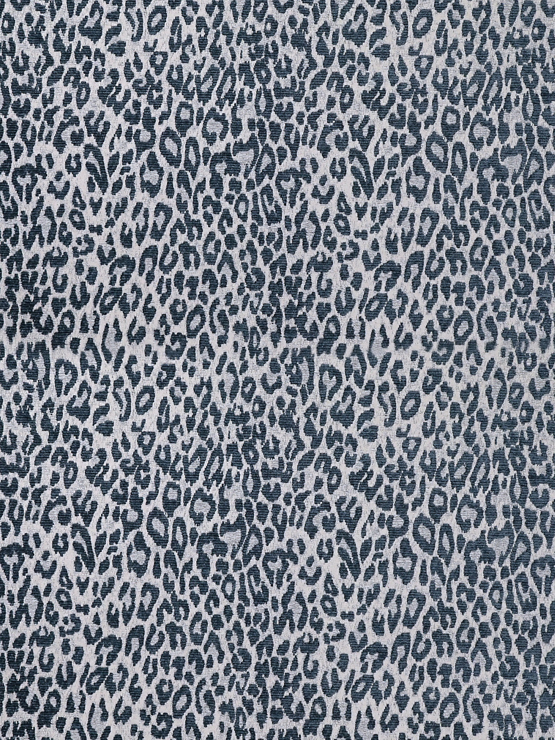 Leopard - Orion Blue