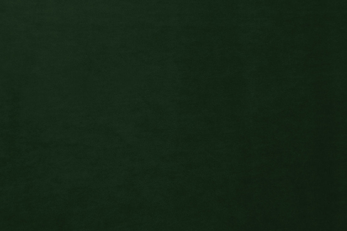 Project Water Repellent - Dark Green - Scalamandre Fabric