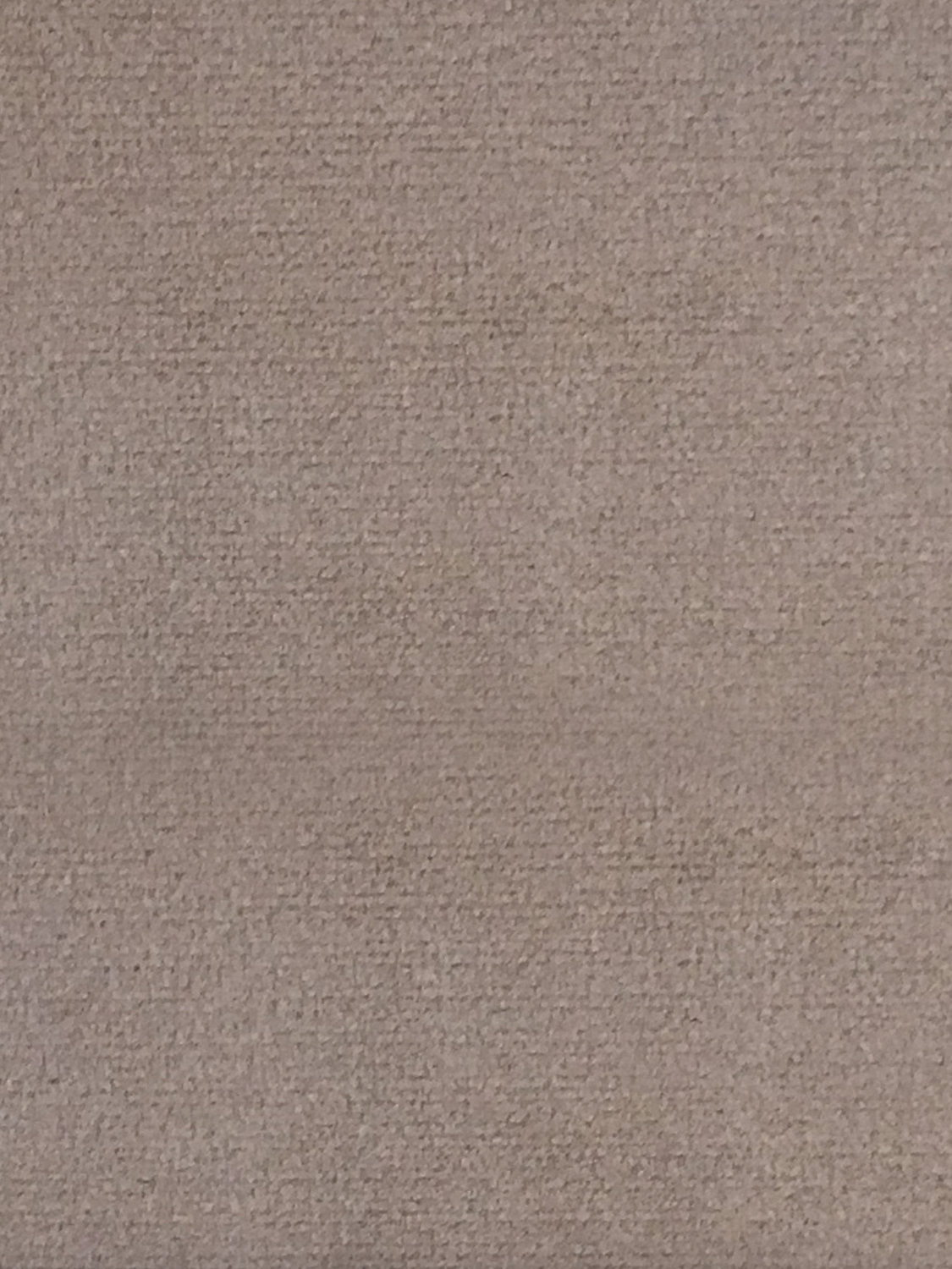 Sucesso | Wide Width Velvet - Taupe