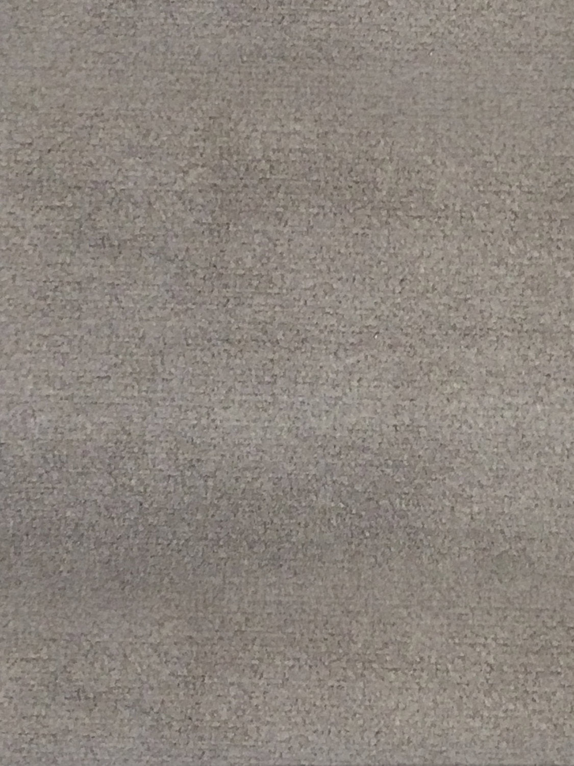 Sucesso | Wide Width Velvet - Greige Taupe - Scalamandre Tela