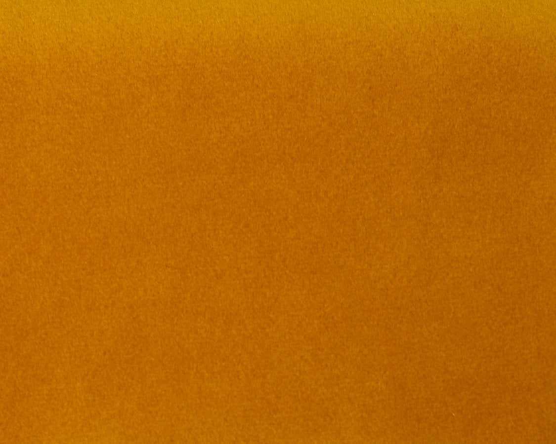 Safety Velvet - Caril - Scalamandre Fabric