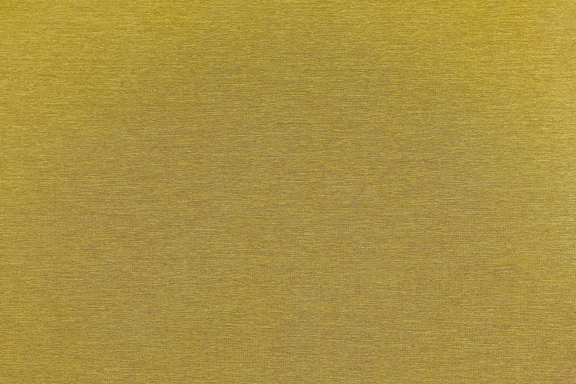 Sal - Spicy Mustard