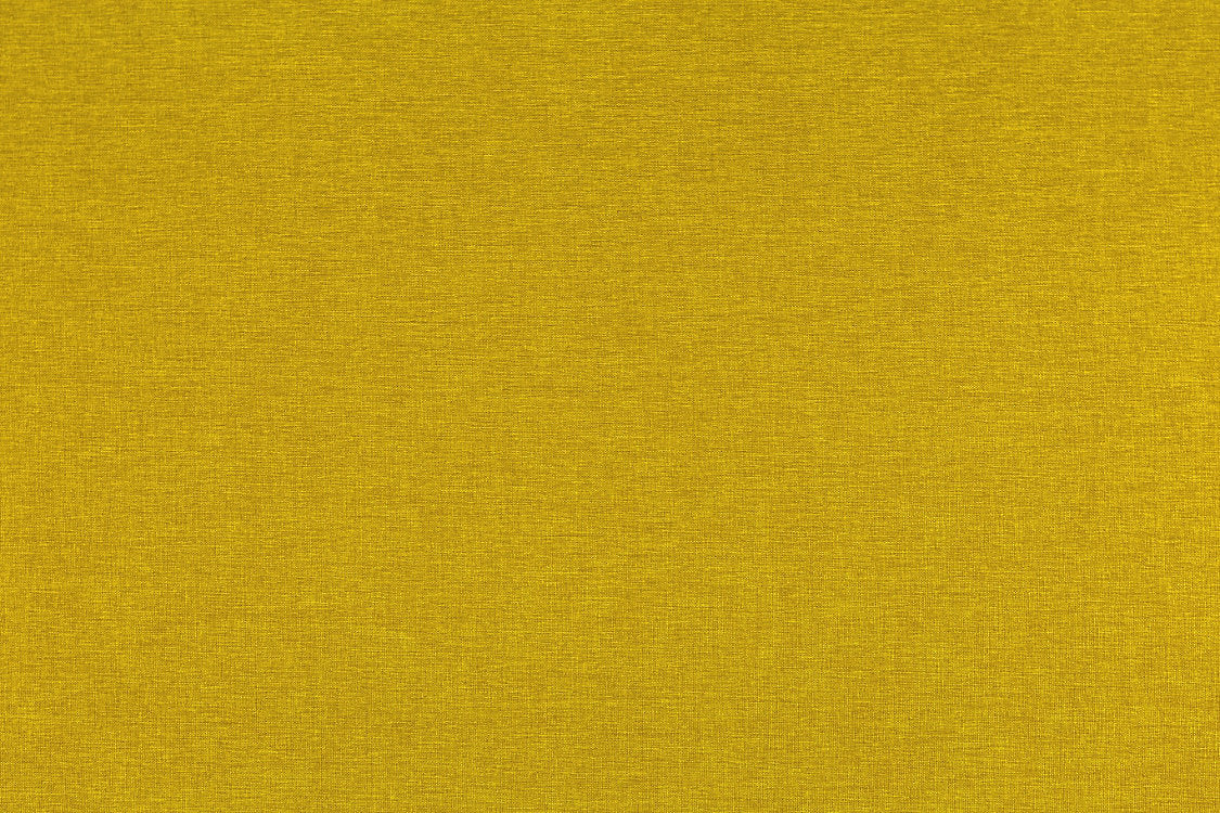Sal - Golden Rod