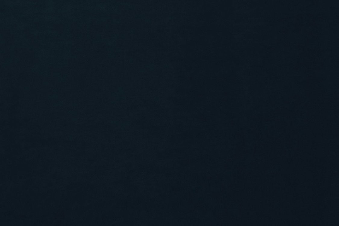 Project Water Repellent - Navy Blue - Scalamandre Fabric