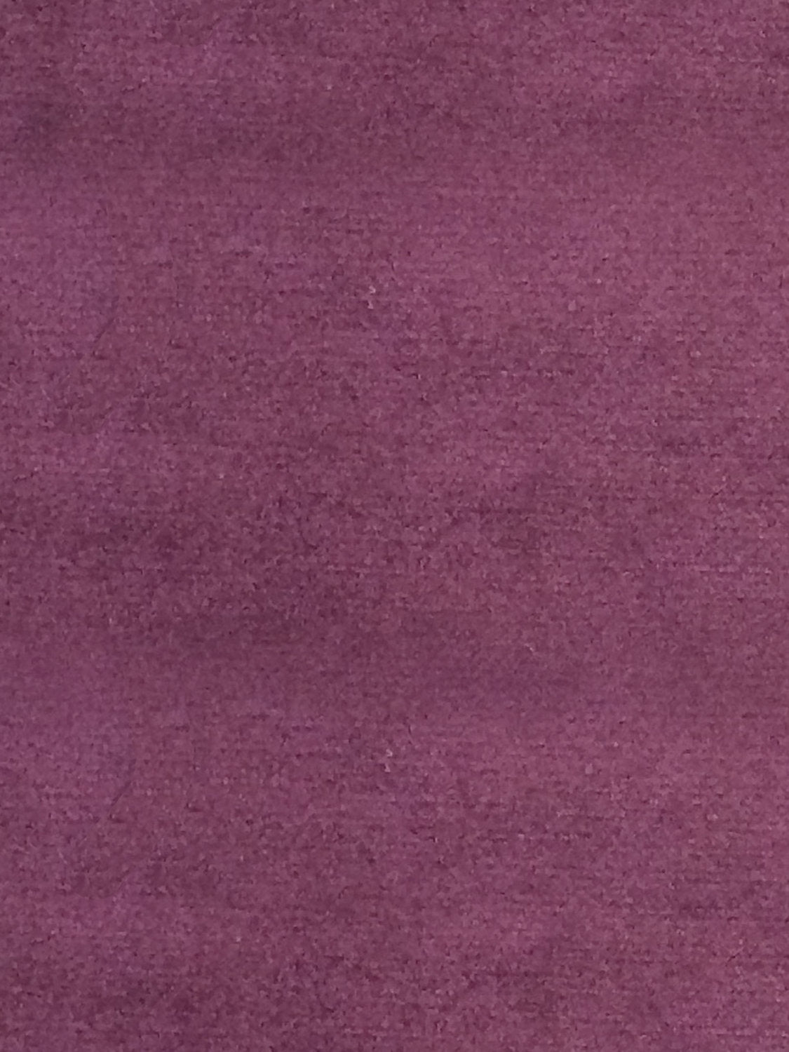 Sucesso | Wide Width Velvet - Deep Violet - Scalamandre Fabric