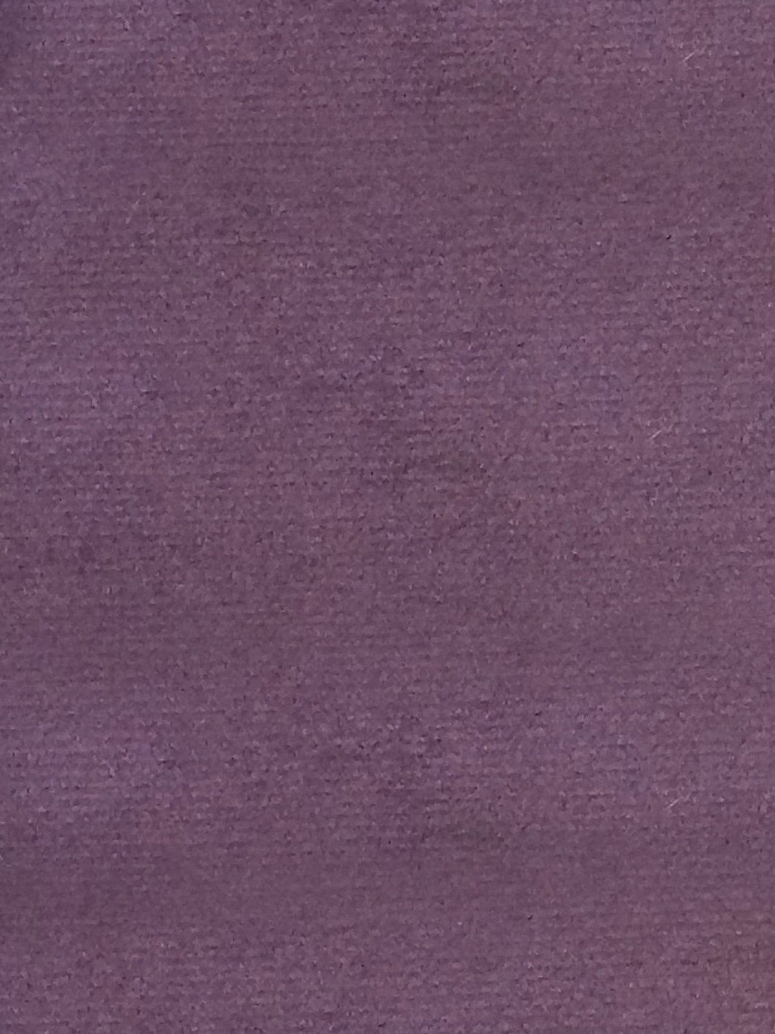 Sucesso | Wide Width Velvet - Deep Purple
