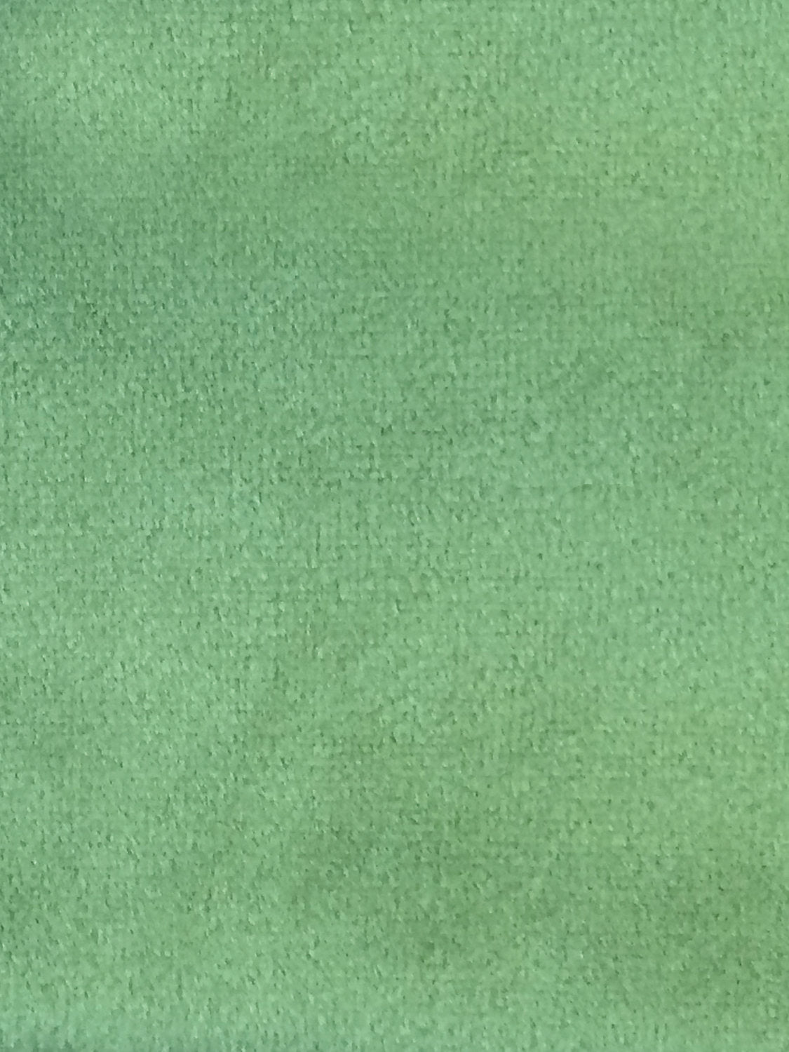 Sucesso | Wide Width Velvet - Palm Green - Scalamandre Fabric