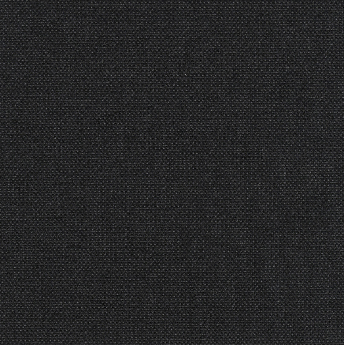 Slow - Black - Scalamandre Fabric