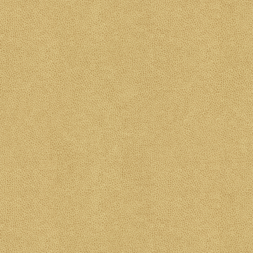 Abilene - Dune - Kravet Contract Fabric