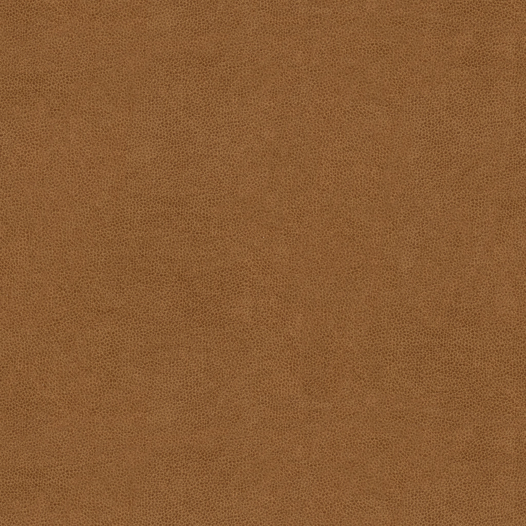 Abilene - Biscuit - Kravet Contract Fabric