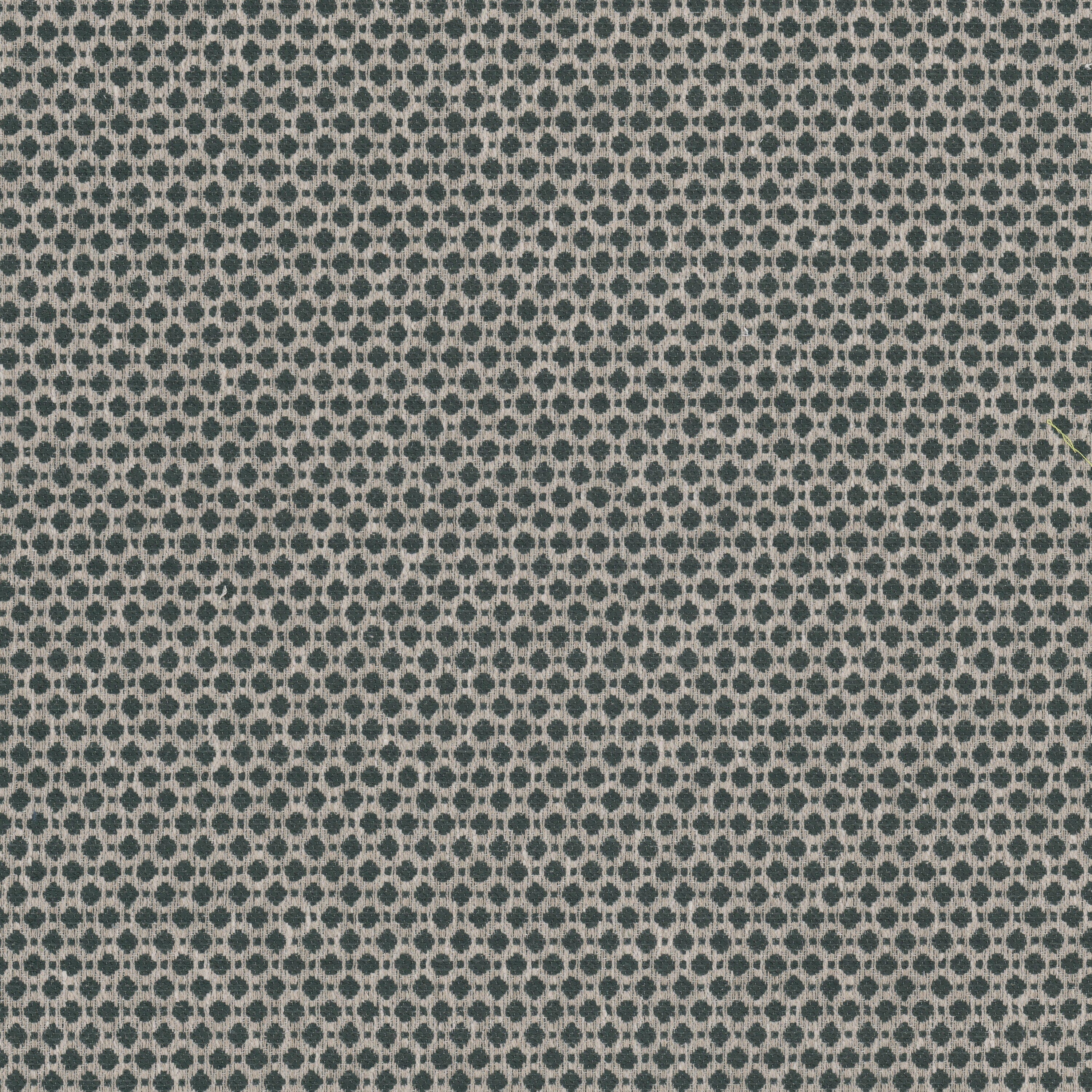 Abloom 6 Turquoise - Stout Textiles Fabric