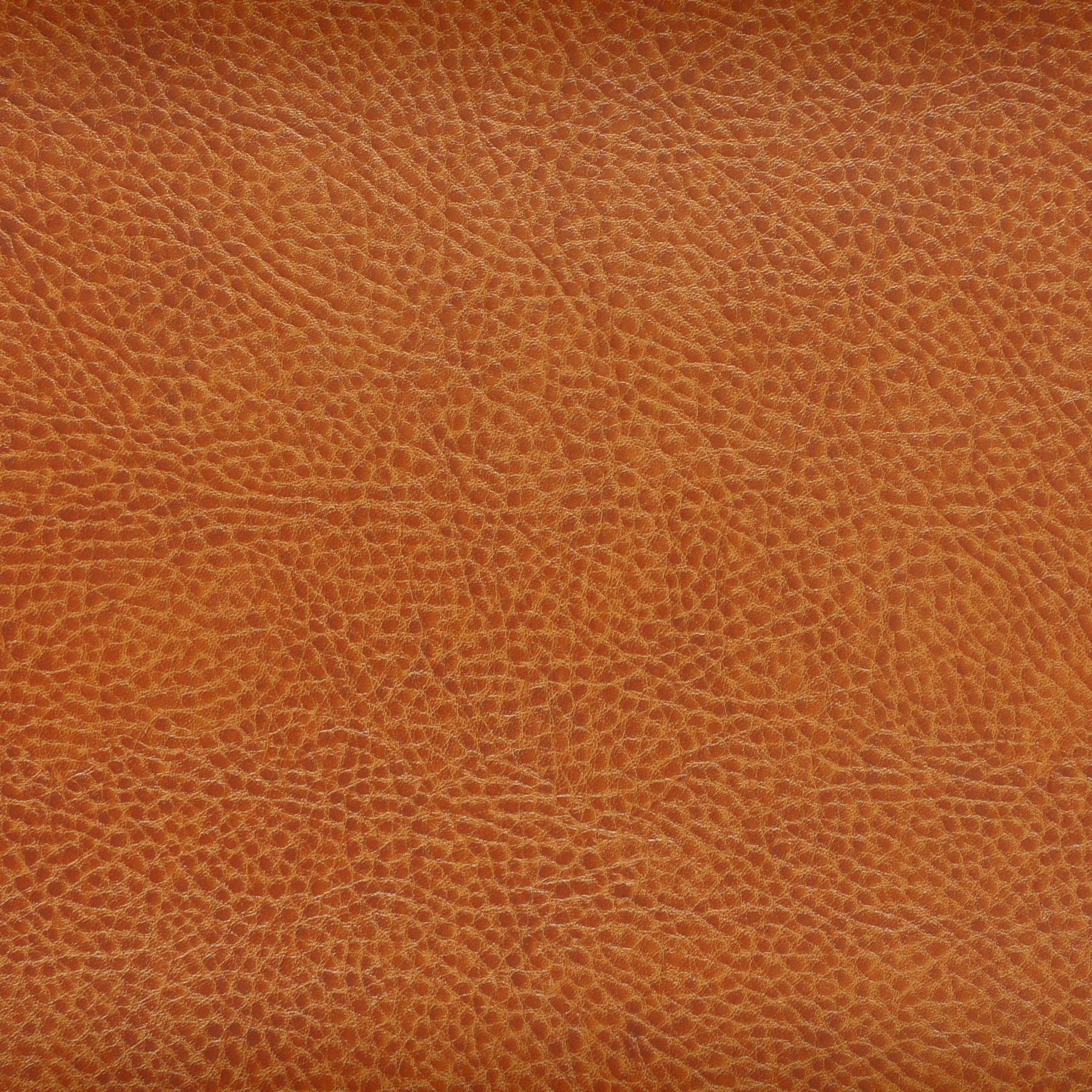 Kravet Design - Acoustic-24 - Kravet Design Fabric