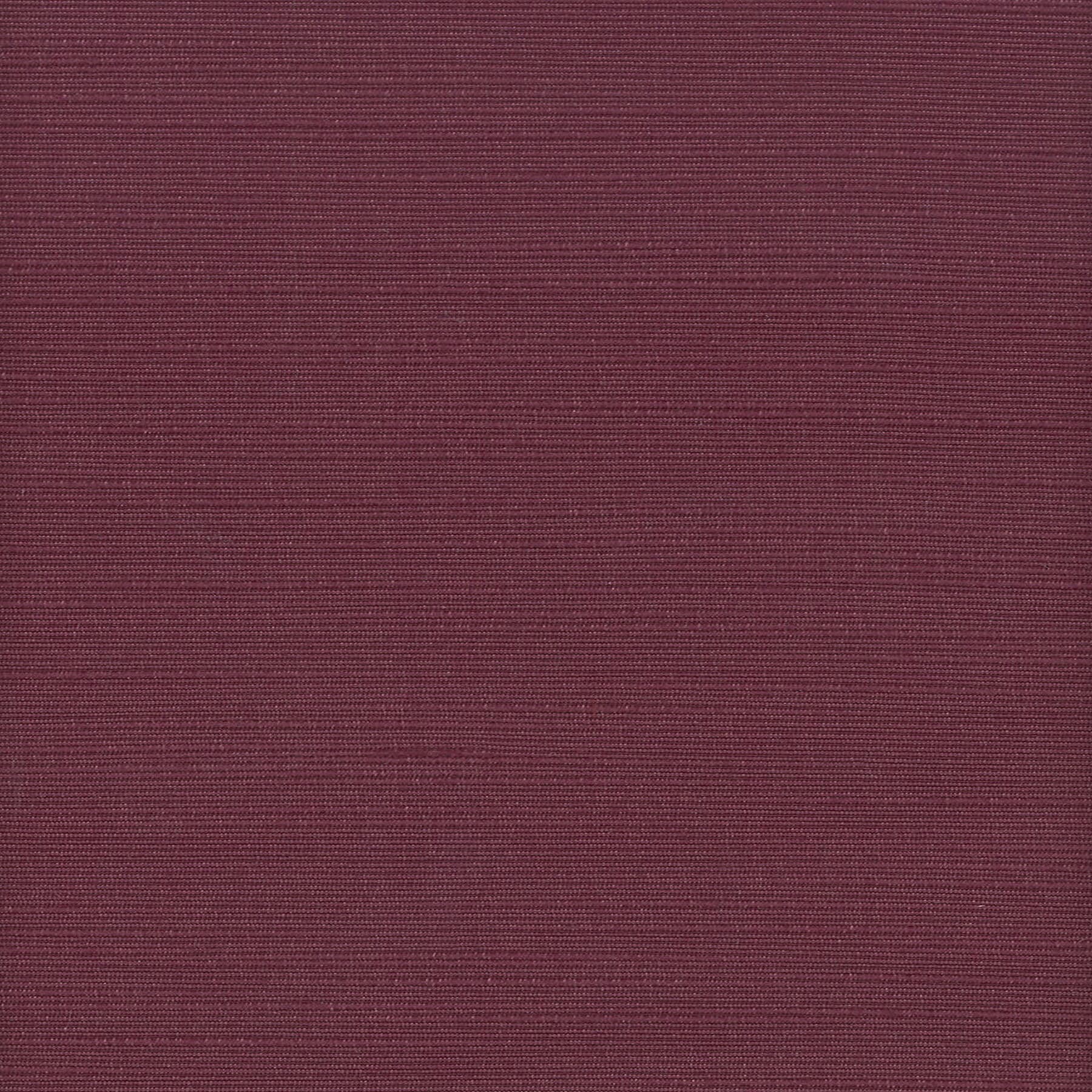 Admire 21 Petunia by Stout Fabric