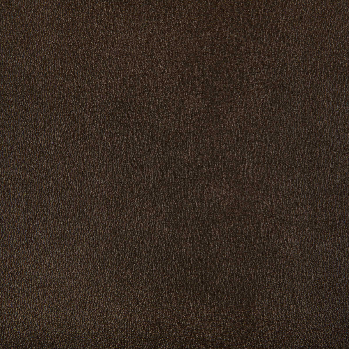 Agatha - Bronze