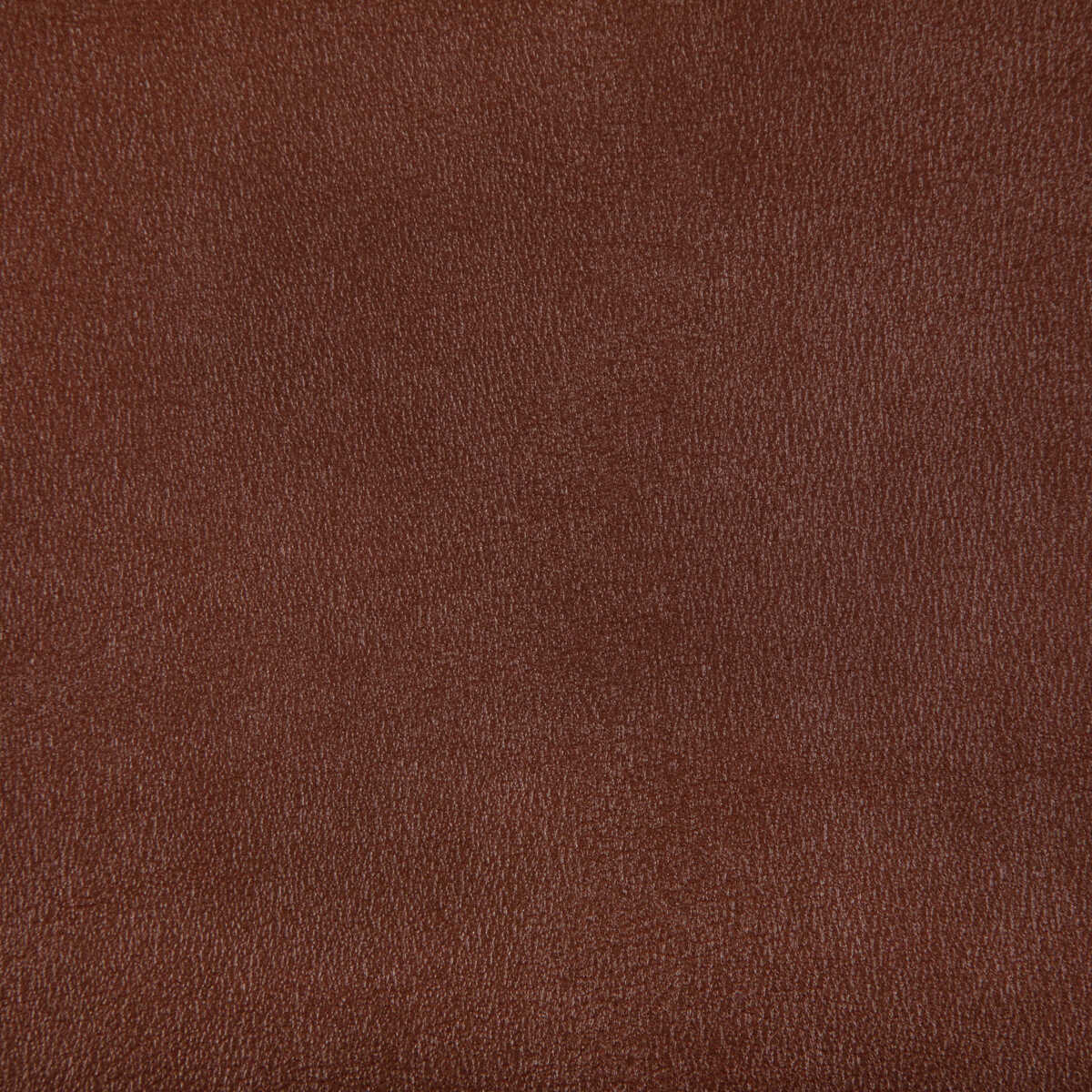Agatha - Copper - KRAVET CONTRACT Fabric