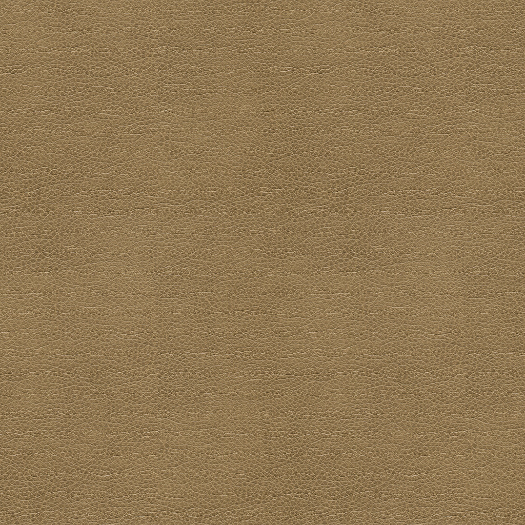 Kravet Smart - Alina-106 - Kravet Smart Fabric