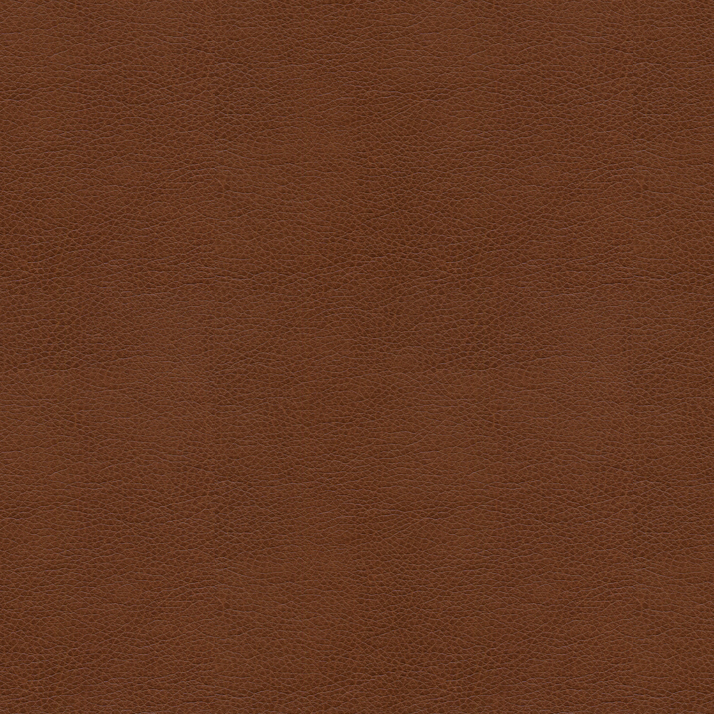 Kravet Smart - Alina-6 - Kravet Smart Fabric