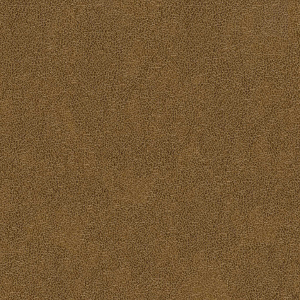 Kravet Contract - Balara-616