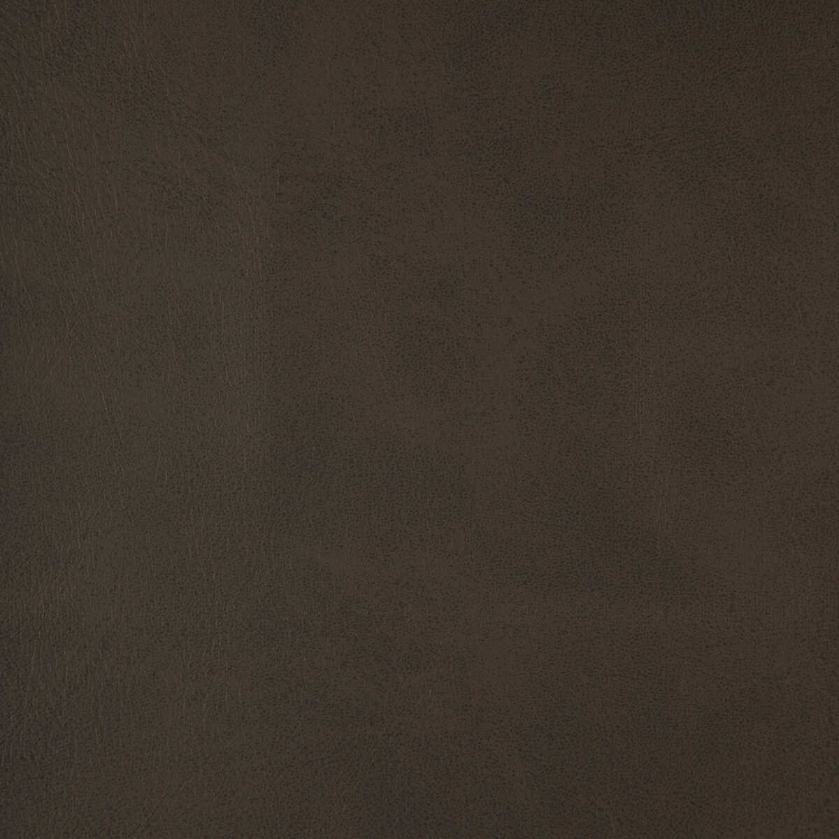Kravet Design - Alum-21 - KRAVET DESIGN Tela