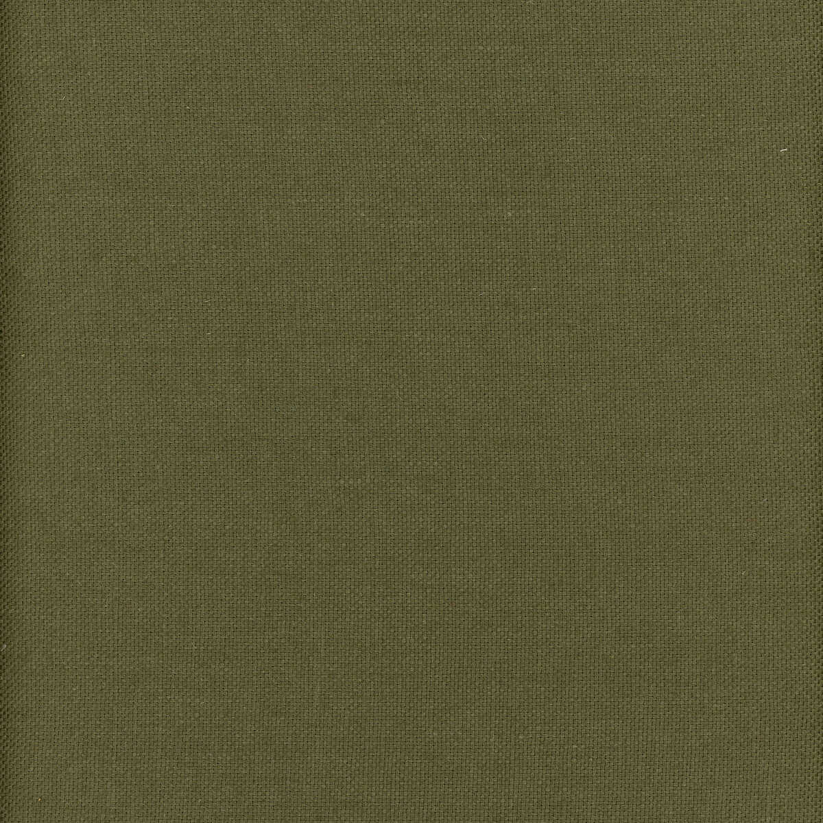 Beagle - Archipelago