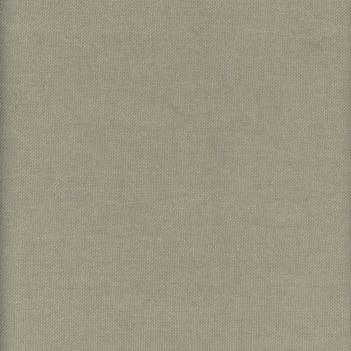 Beagle - Grasshopper - KRAVET COUTURE Tela