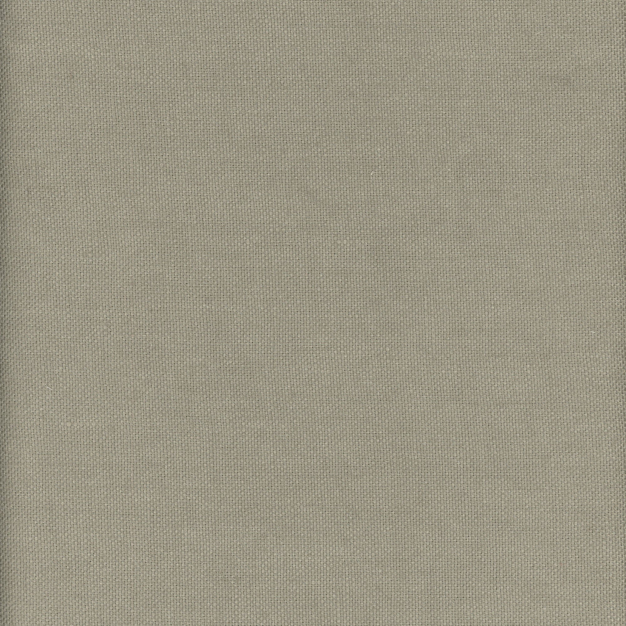 Beagle - Grasshopper - Kravet Couture Fabric
