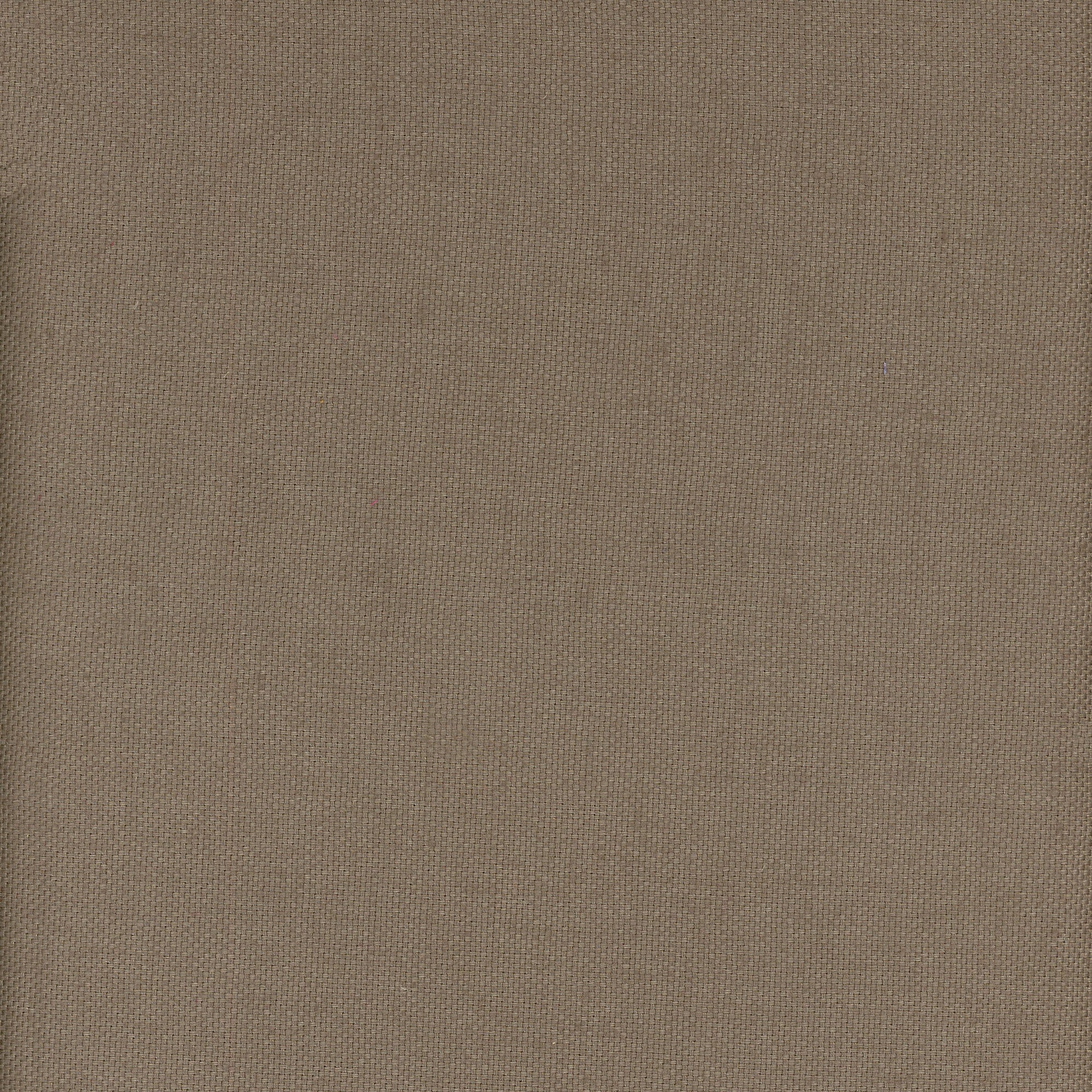Beagle - Pampas - Kravet Couture Fabric