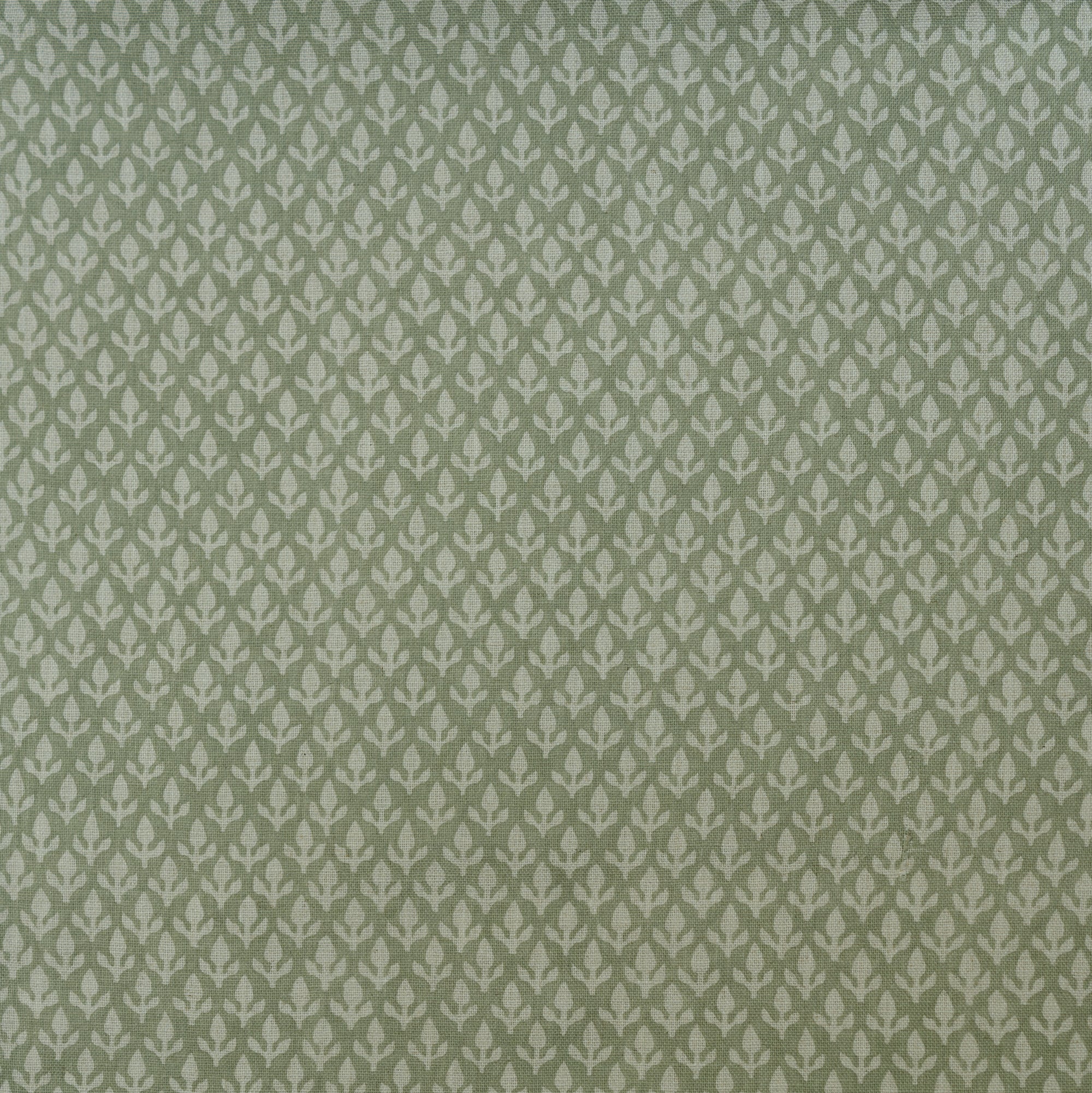 Bud - Fennel - Kravet Couture Fabric
