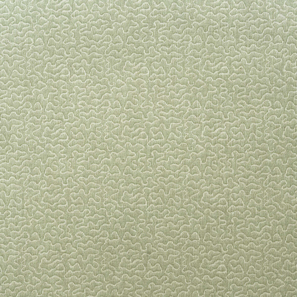Pollen - Fennel