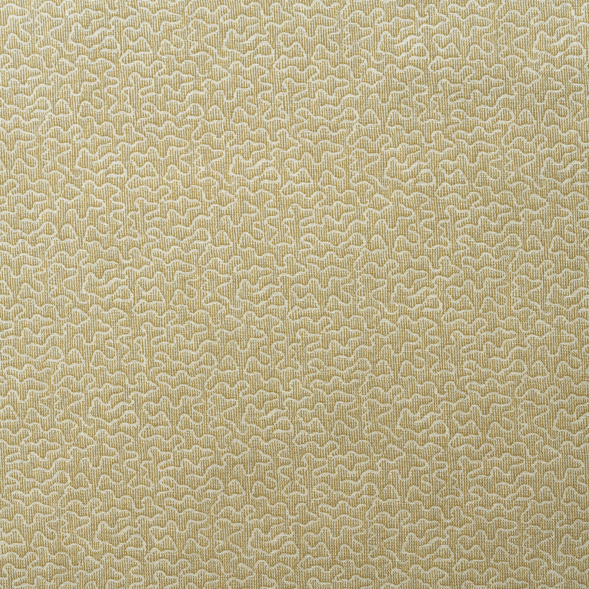 Pollen - Honey - Kravet Couture Fabric