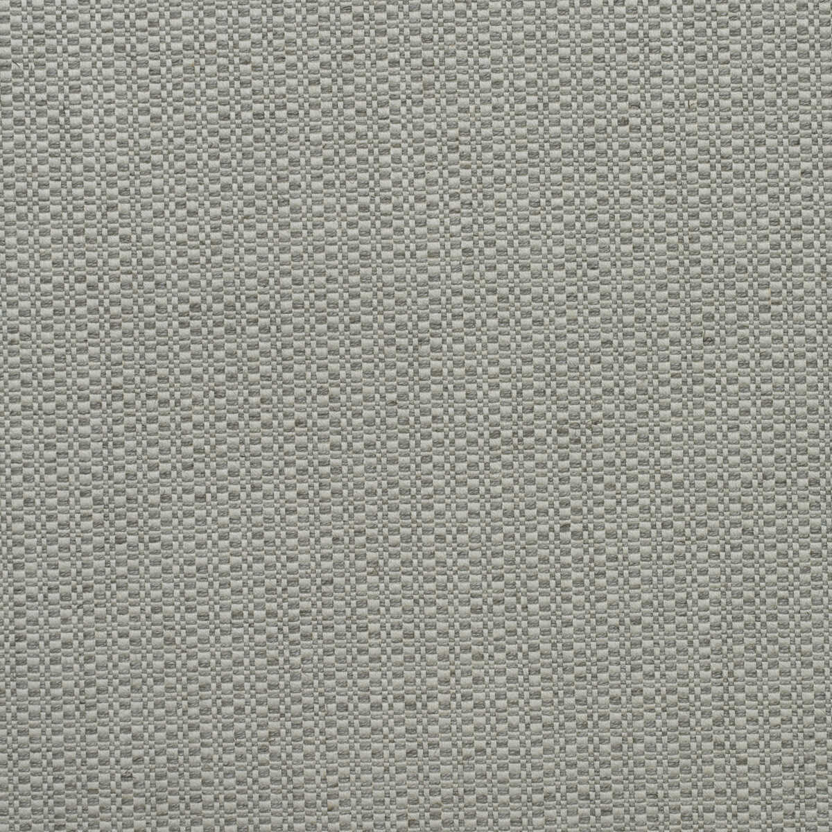 Birch - Fog