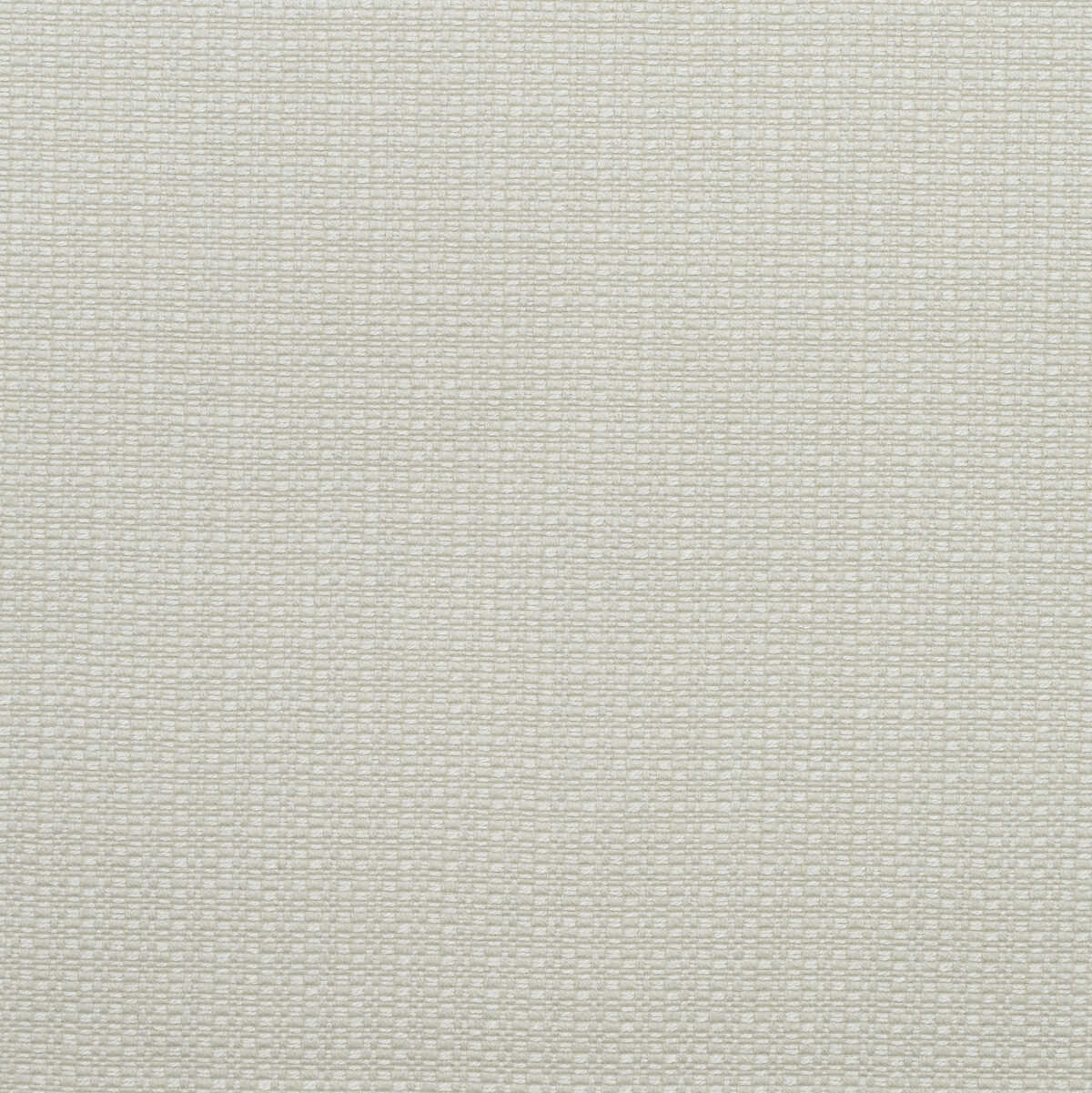 Birch - Chalk