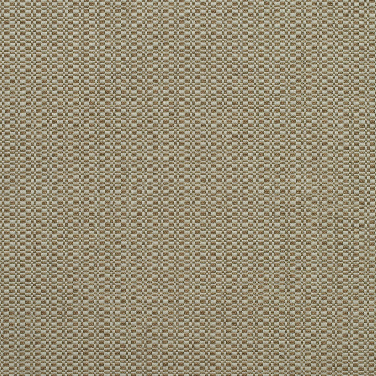 Birch - Autumn - KRAVET COUTURE Fabric