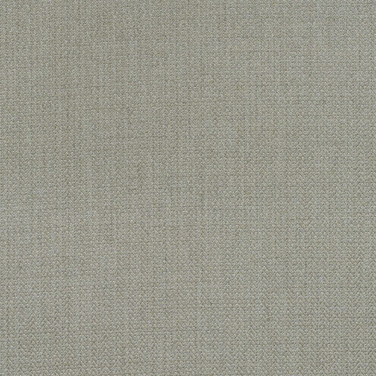 Birds Foot - Stone - KRAVET COUTURE Fabric