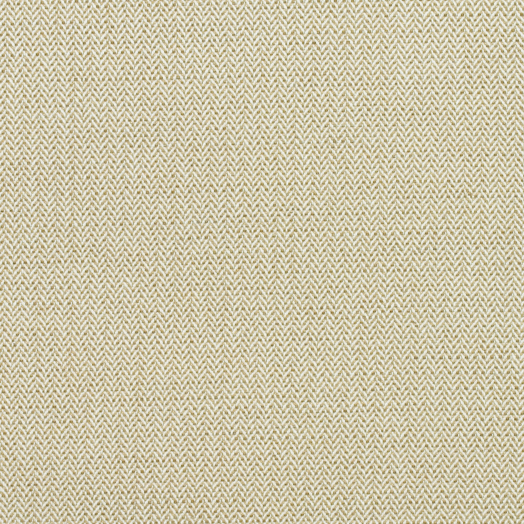 Birds Foot - Autumn - Kravet Couture Fabric