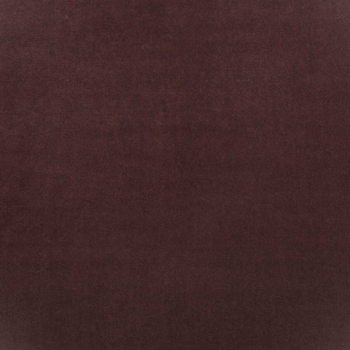 Medici - Fig - KRAVET COUTURE Tela