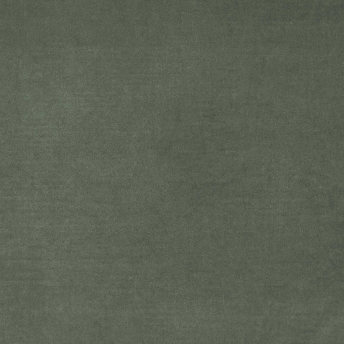Medici - Slate