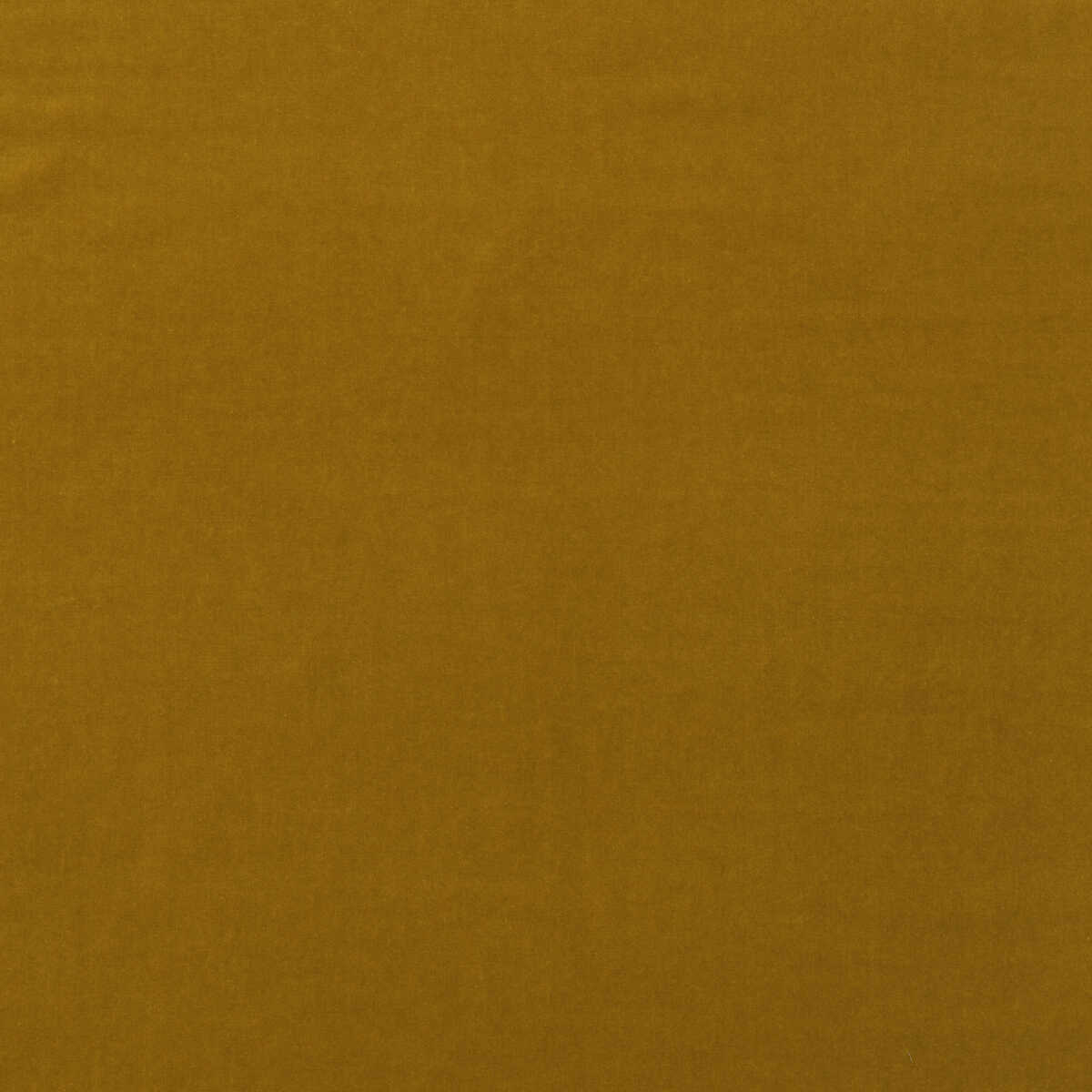 Medici - Quince - KRAVET COUTURE Fabric