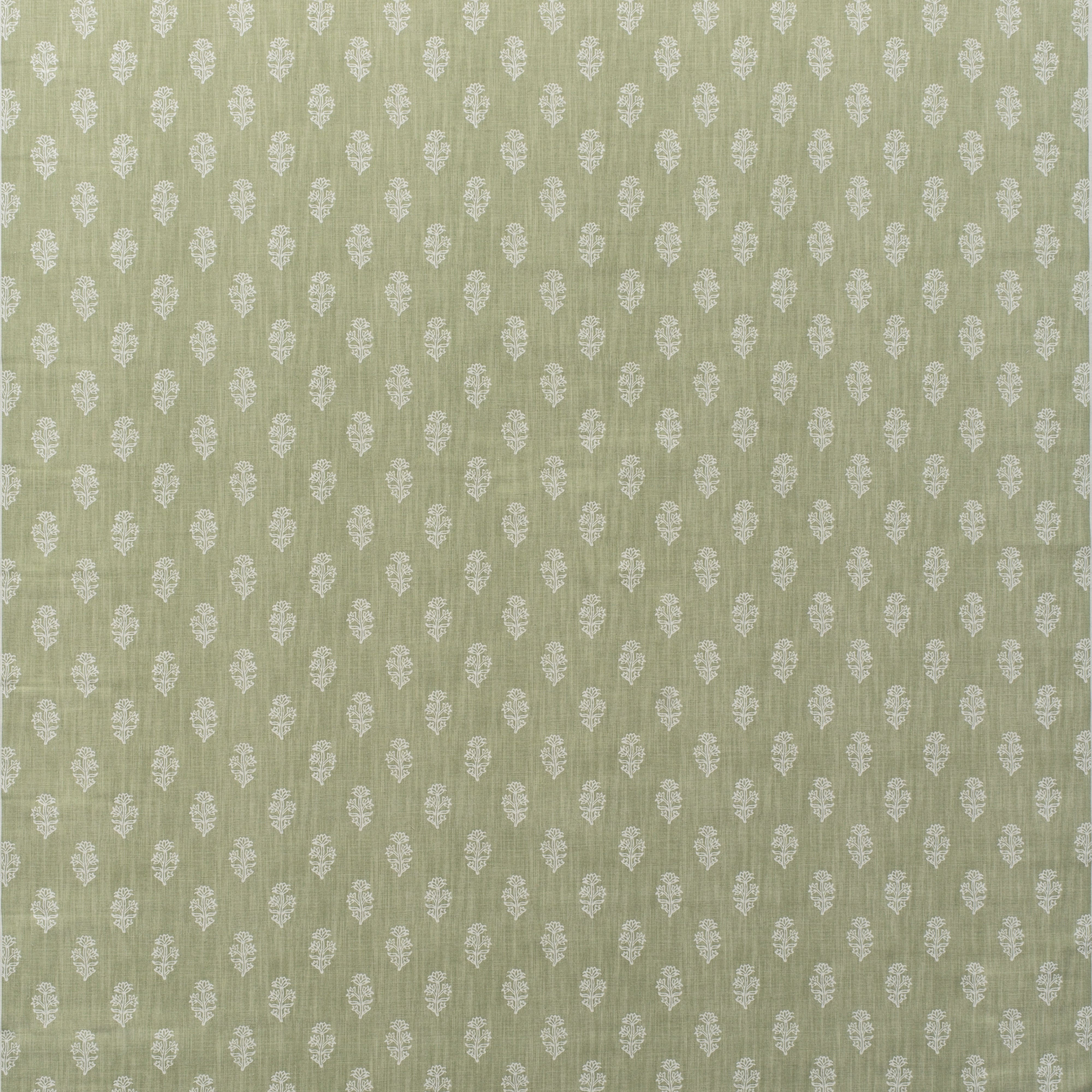 Buttercup - Fennel - Kravet Couture Fabric