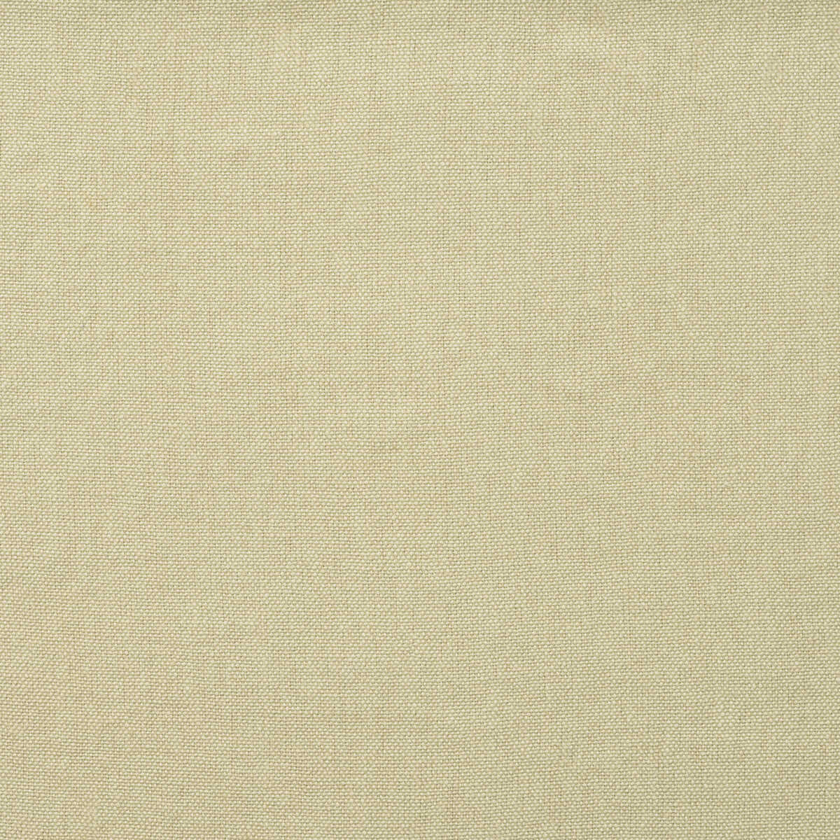 Rocco - Ecru - KRAVET COUTURE Tela