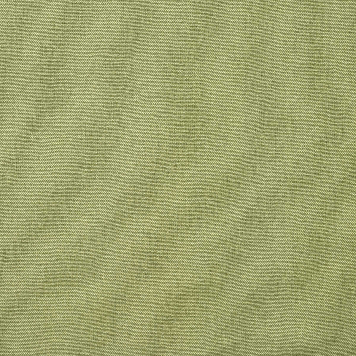Rocco - Sage - KRAVET COUTURE Tela