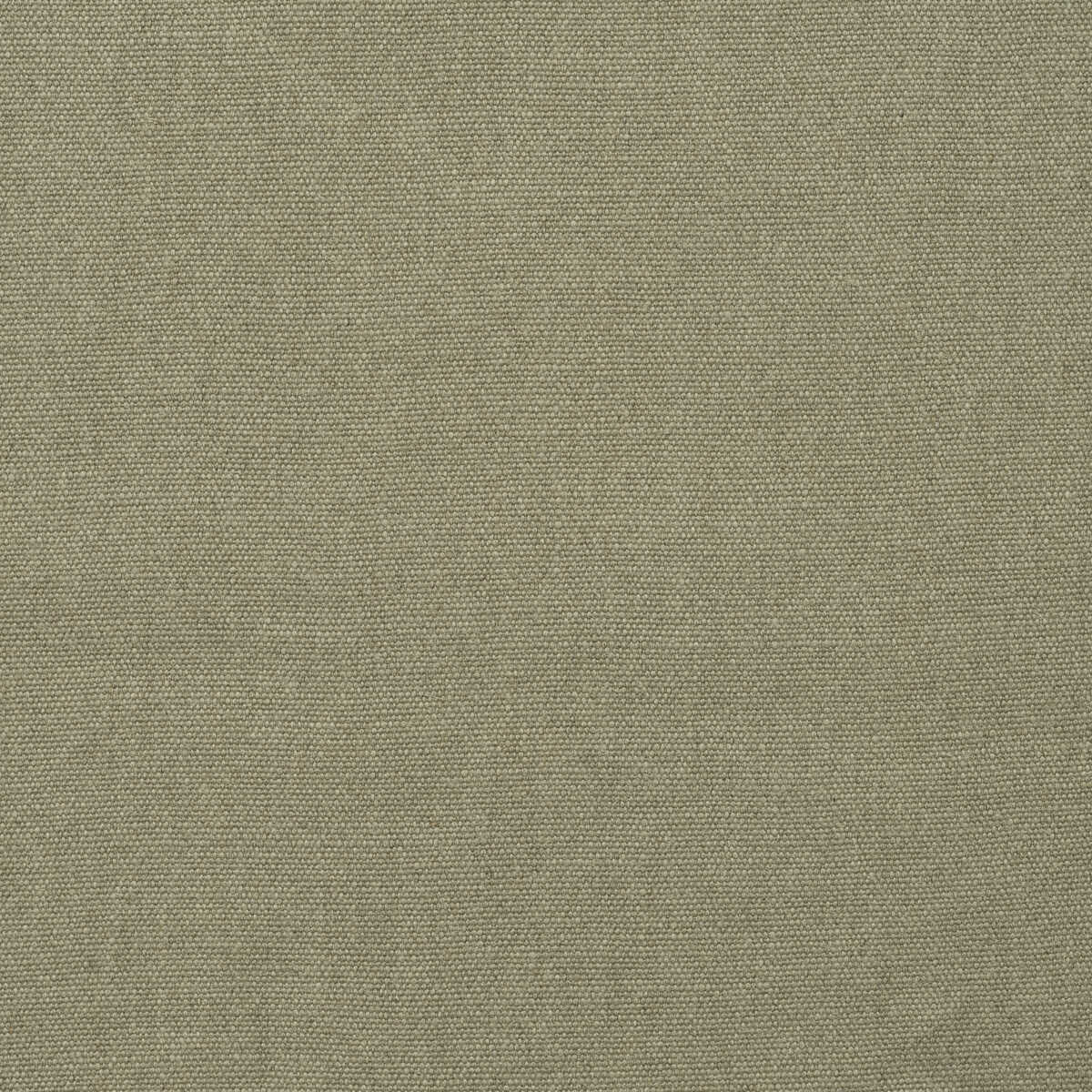 Rocco - Natural - KRAVET COUTURE Tela