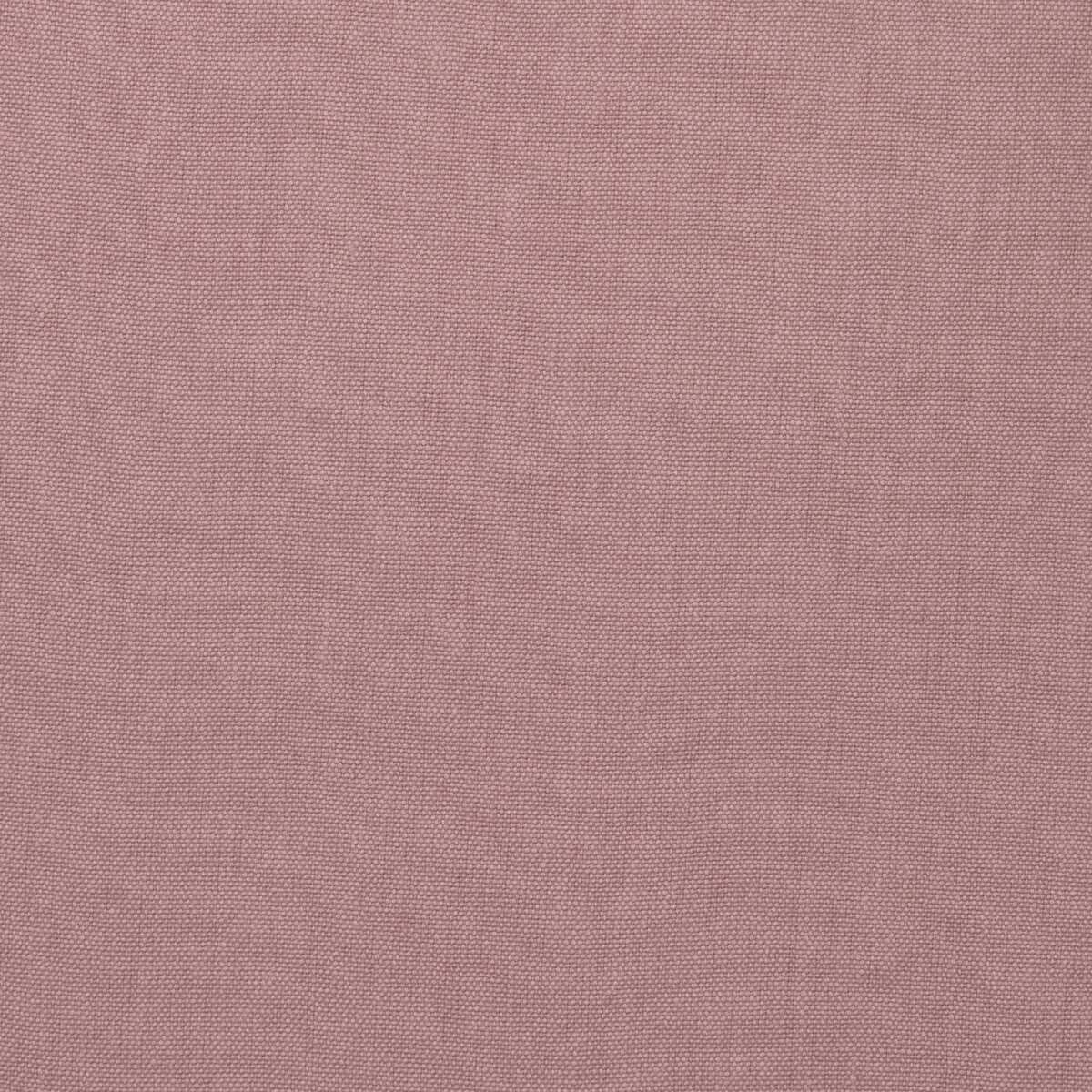 Rocco - Petal - KRAVET COUTURE Tela
