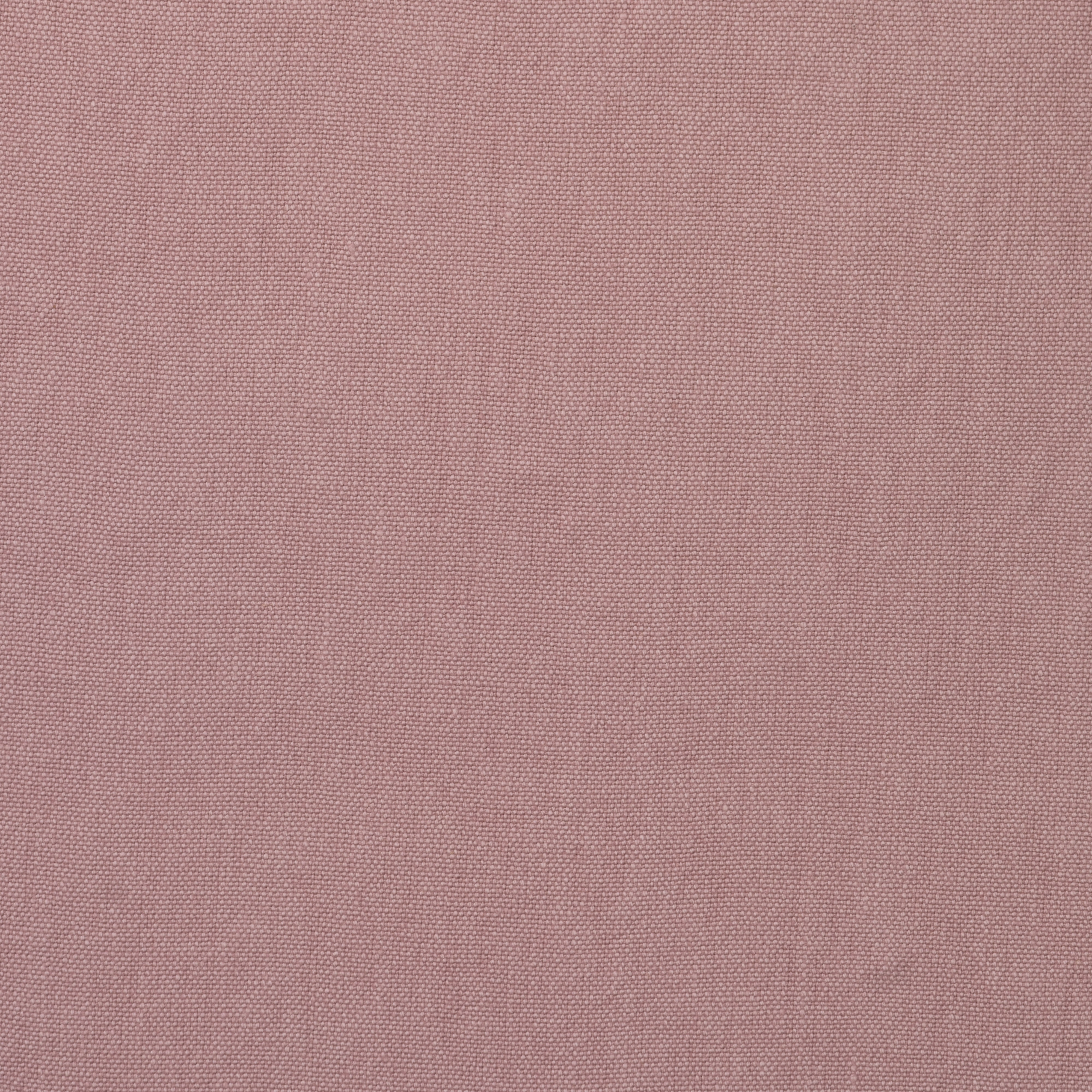 Rocco - Petal - Kravet Couture Fabric