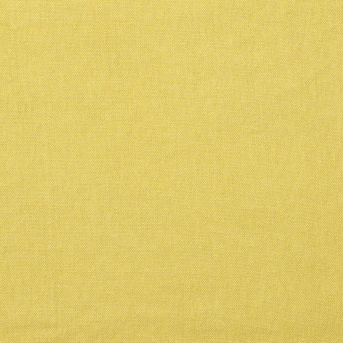 Rocco - Citrine - KRAVET COUTURE Tela