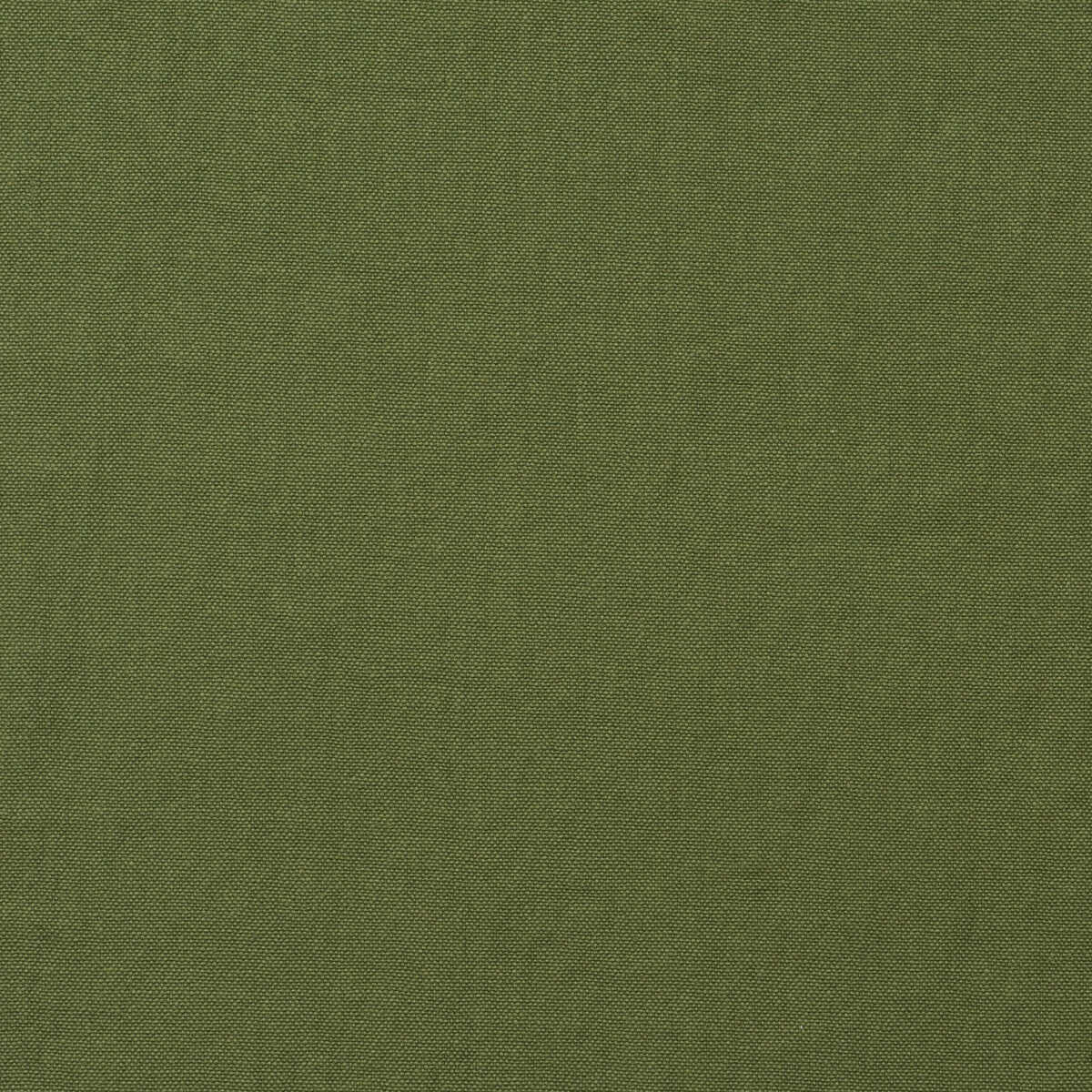 Rocco - Leaf - KRAVET COUTURE Tela