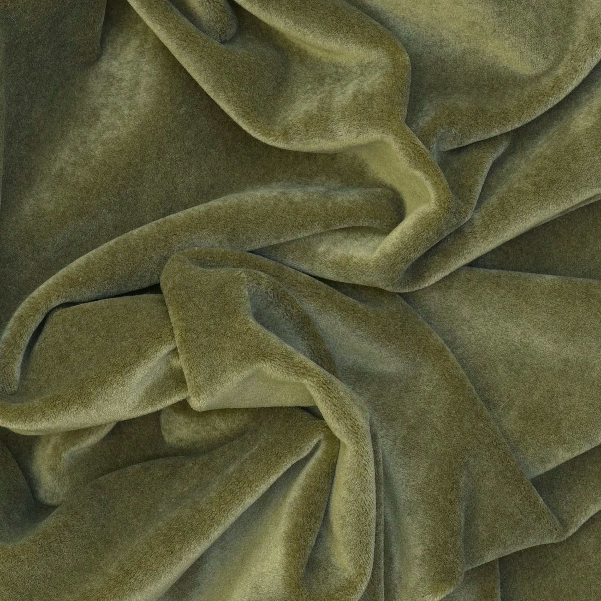 Venetia - Olive - Kravet Couture Fabric