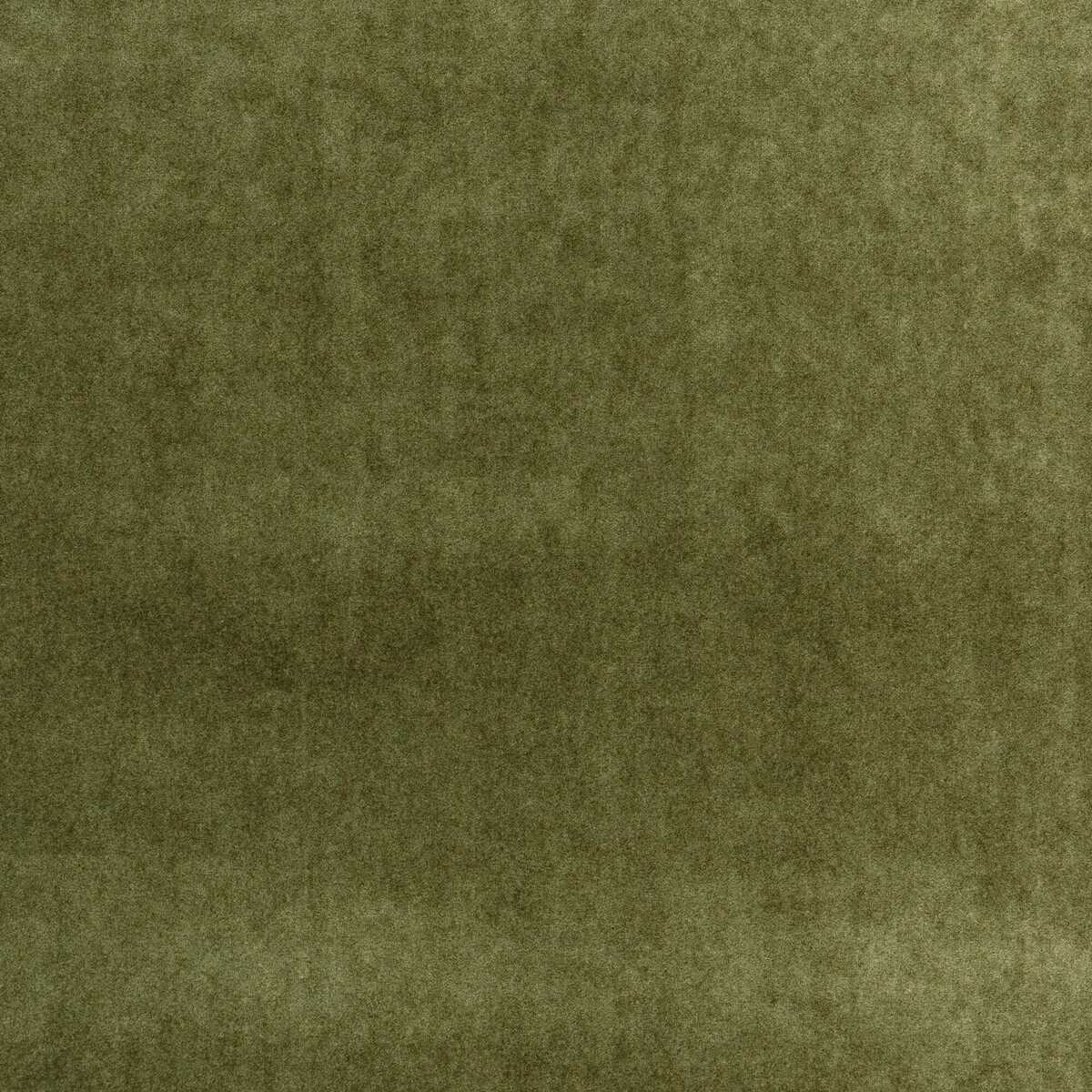 Venetia - Olive - KRAVET COUTURE Tela