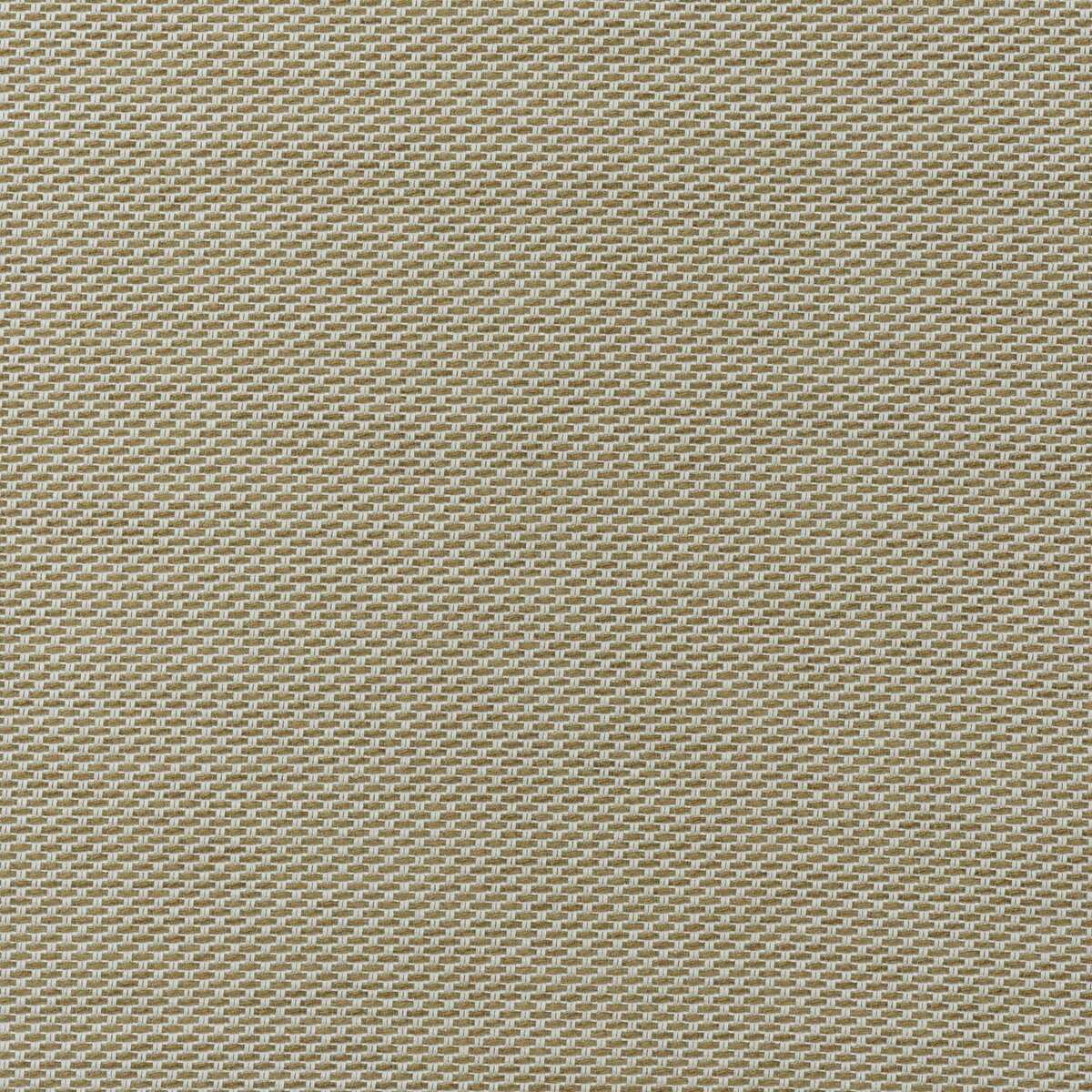 Taormina - Almond - KRAVET COUTURE Tela