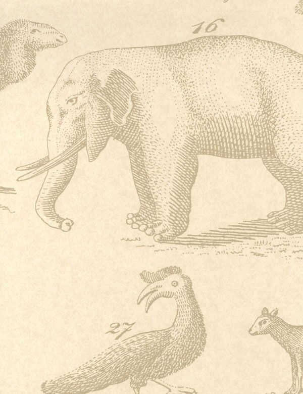 Ark - Sand - KRAVET COUTURE Wallpaper